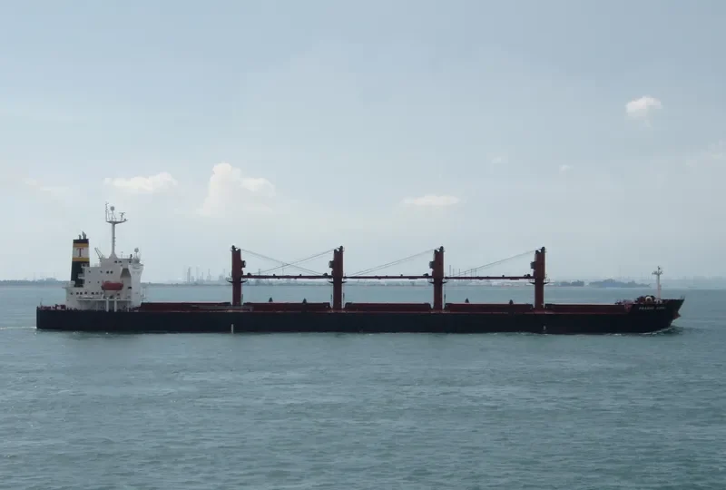 PRABHU GOPAL Bulk Carrier IMO 9265524 photo 7