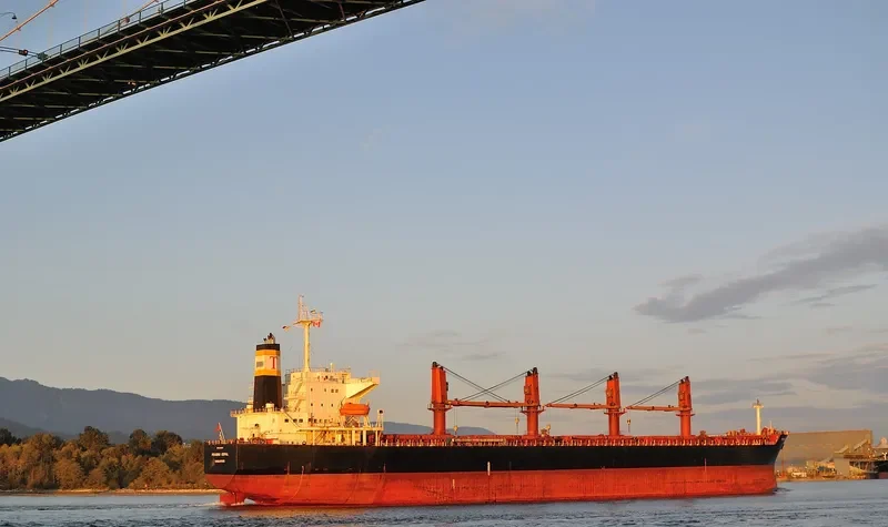 PRABHU GOPAL Bulk Carrier IMO 9265524 photo 9