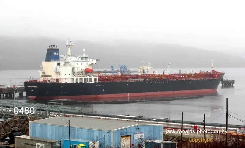 JOHNNY TRADER Tanker IMO 9265885 photo 5