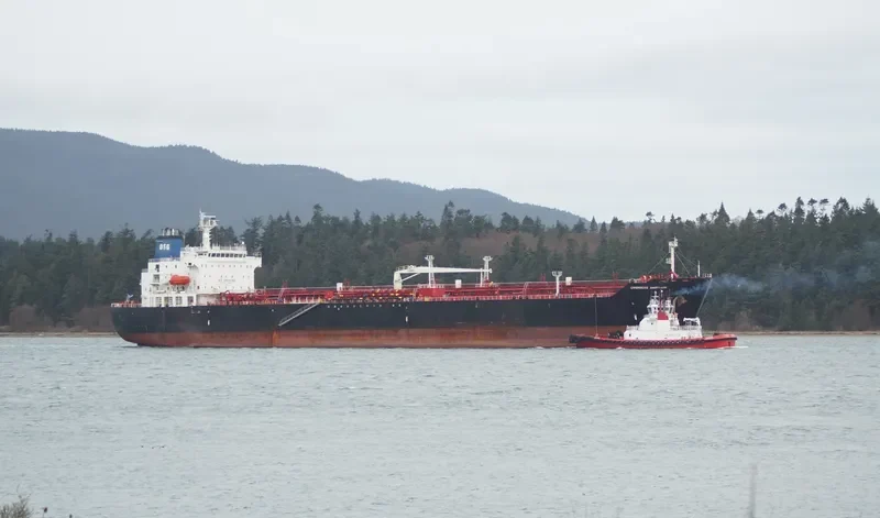 JOHNNY TRADER Tanker IMO 9265885 photo 8