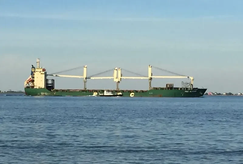 PAC ALKAID Bulk Carrier IMO 9265914