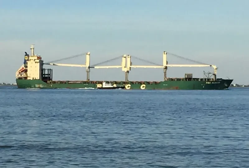 PAC ALKAID Bulk Carrier IMO 9265914 photo 2