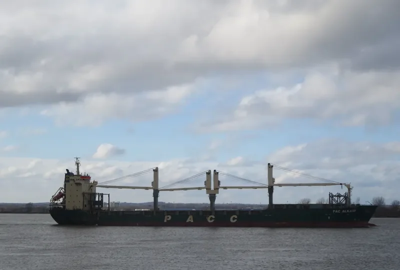 PAC ALKAID Bulk Carrier IMO 9265914 photo 6