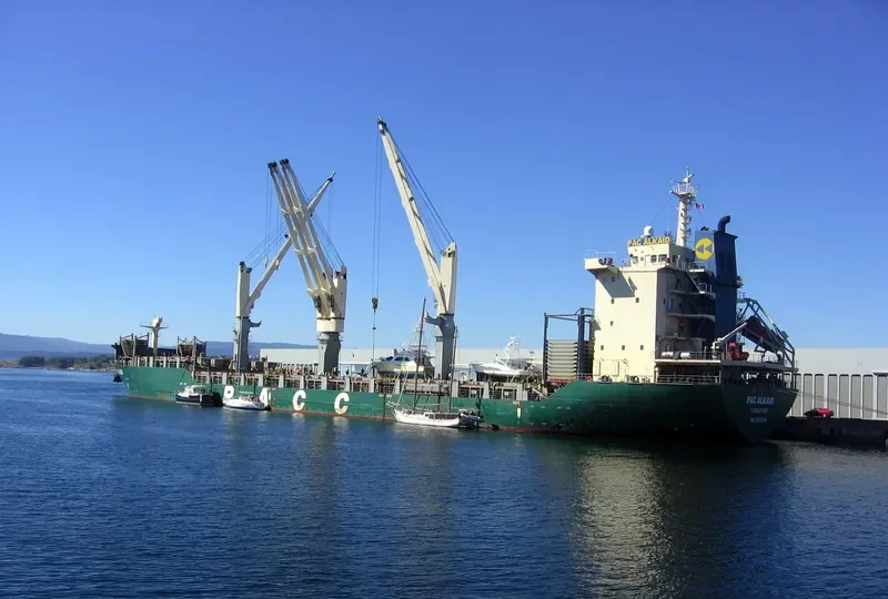 PAC ALKAID Bulk Carrier IMO 9265914 photo 9