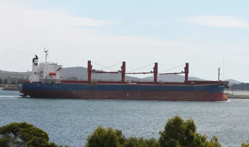 KAREEM Bulk Carrier IMO 9266097 photo 10