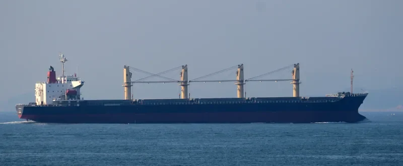 DAEJOO ARIRANG 2 Bulk Carrier IMO 9266138