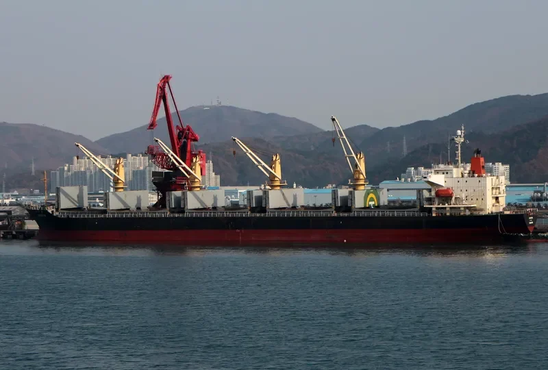 DAEJOO ARIRANG 2 Bulk Carrier IMO 9266138 photo 2