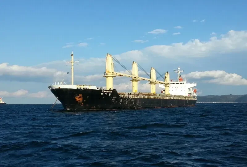 DAEJOO ARIRANG 2 Bulk Carrier IMO 9266138 photo 5