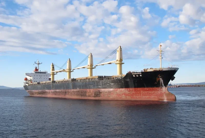 DAEJOO ARIRANG 2 Bulk Carrier IMO 9266138 photo 7