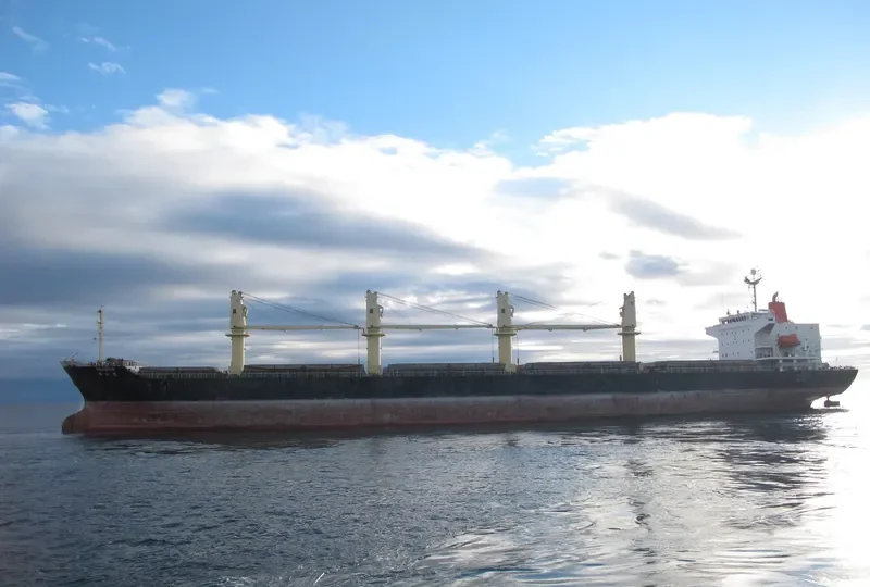 DAEJOO ARIRANG 2 Bulk Carrier IMO 9266138 photo 8