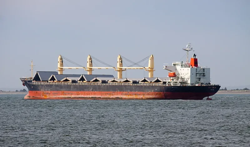 DAEJOO ARIRANG 2 Bulk Carrier IMO 9266138 photo 9