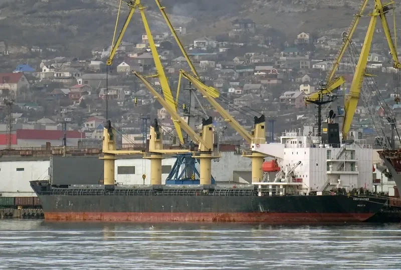 FIRST BROTHER Bulk Carrier IMO 9266140 photo 3