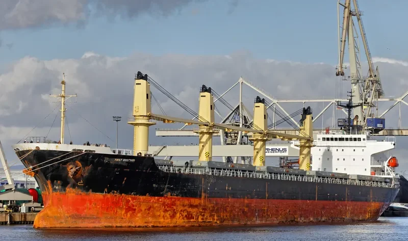 FIRST BROTHER Bulk Carrier IMO 9266140 photo 5