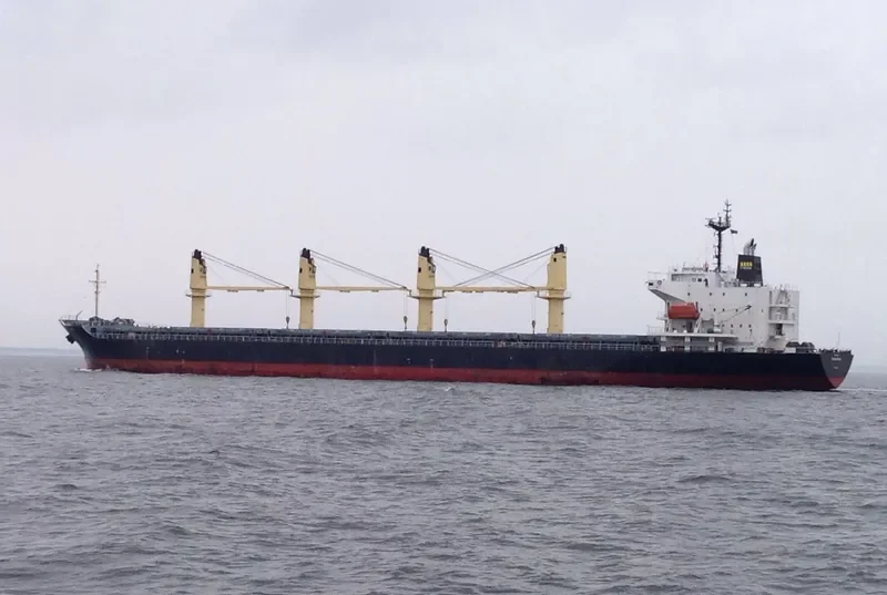 FIRST BROTHER Bulk Carrier IMO 9266140 photo 6