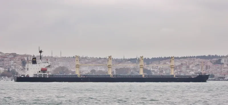 FIRST BROTHER Bulk Carrier IMO 9266140 photo 7