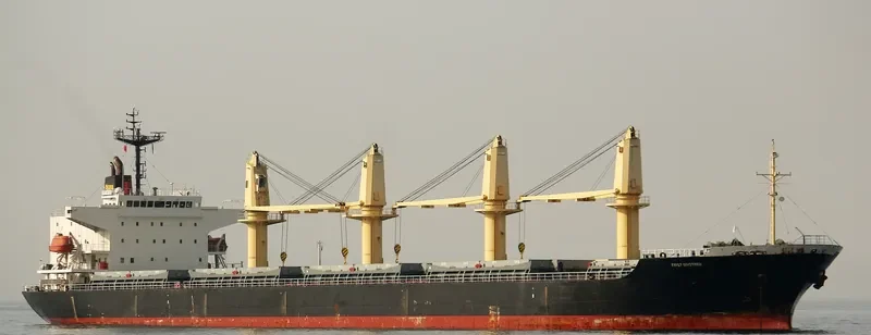 FIRST BROTHER Bulk Carrier IMO 9266140 photo 8