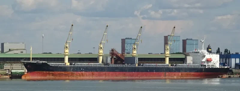 FIRST BROTHER Bulk Carrier IMO 9266140 photo 9