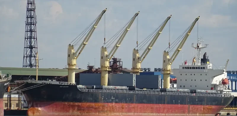 FIRST BROTHER Bulk Carrier IMO 9266140 photo 10