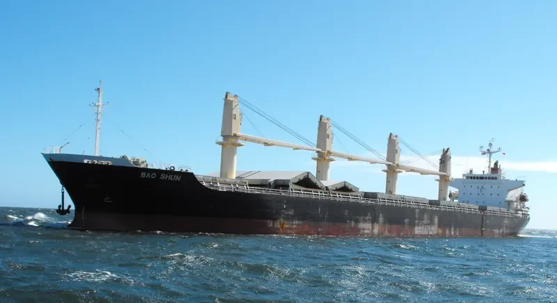 SEIYO HARMONY Bulk Carrier IMO 9266152 photo 4