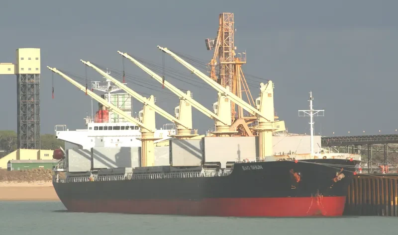 SEIYO HARMONY Bulk Carrier IMO 9266152 photo 5