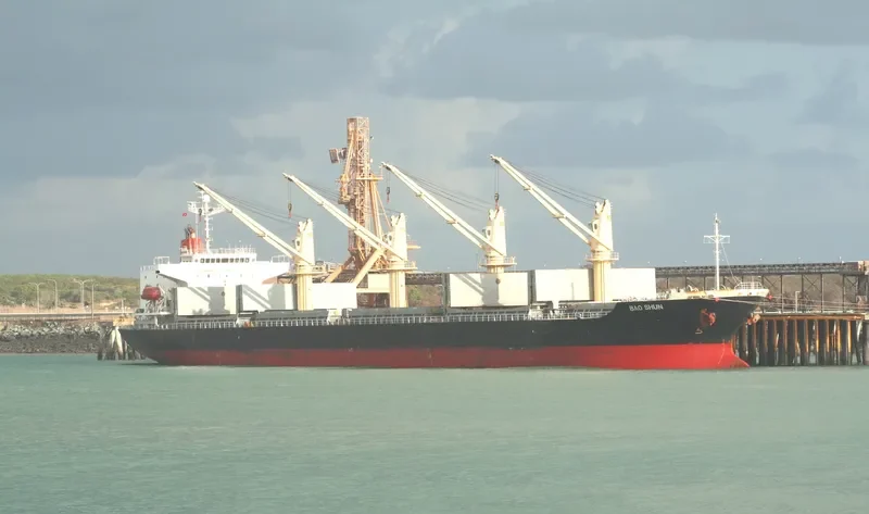 SEIYO HARMONY Bulk Carrier IMO 9266152 photo 6