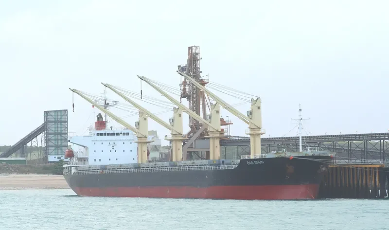 SEIYO HARMONY Bulk Carrier IMO 9266152 photo 7