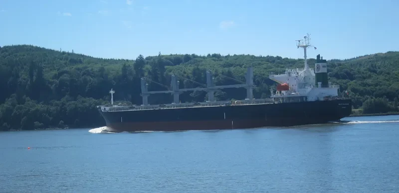ASIAN PEARL Bulk Carrier IMO 9266176 photo 5
