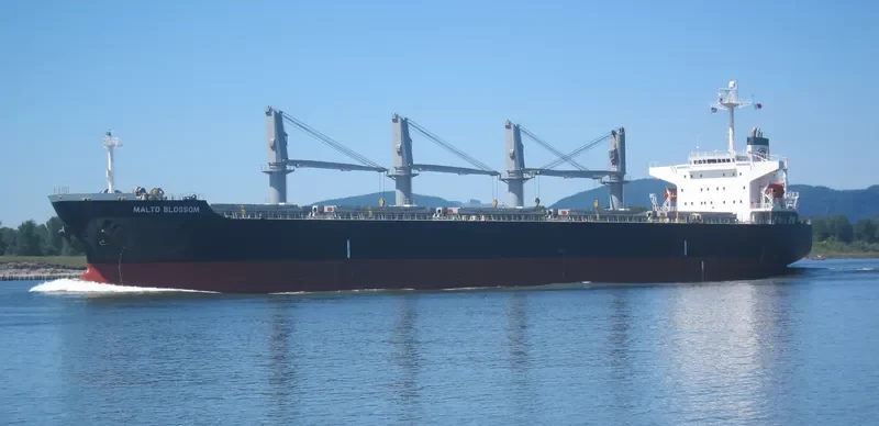 ASIAN PEARL Bulk Carrier IMO 9266176 photo 6