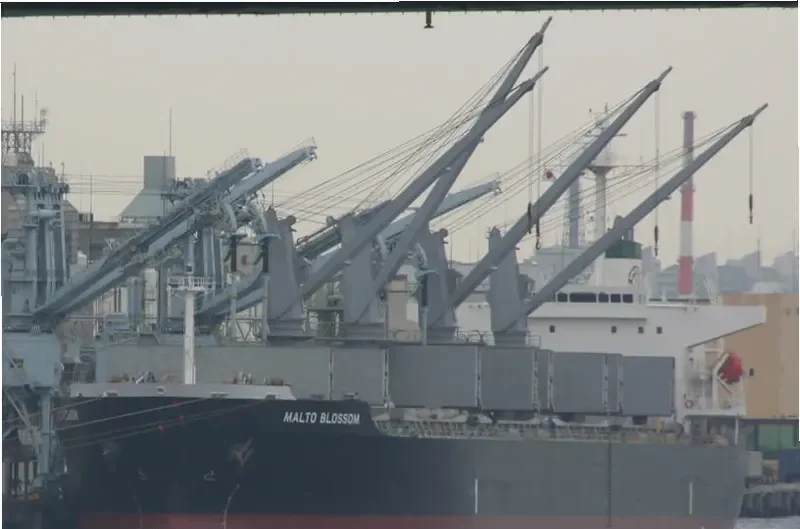 ASIAN PEARL Bulk Carrier IMO 9266176 photo 8