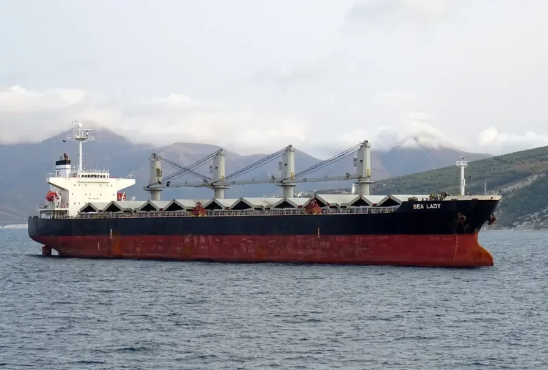 SEA LADY Bulk Carrier IMO 9266188