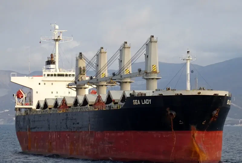 SEA LADY Bulk Carrier IMO 9266188 photo 2
