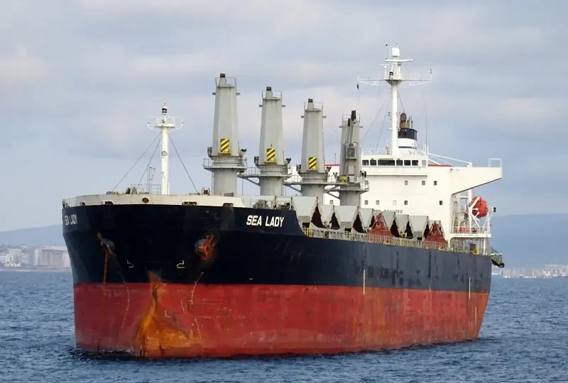 SEA LADY Bulk Carrier IMO 9266188 photo 3