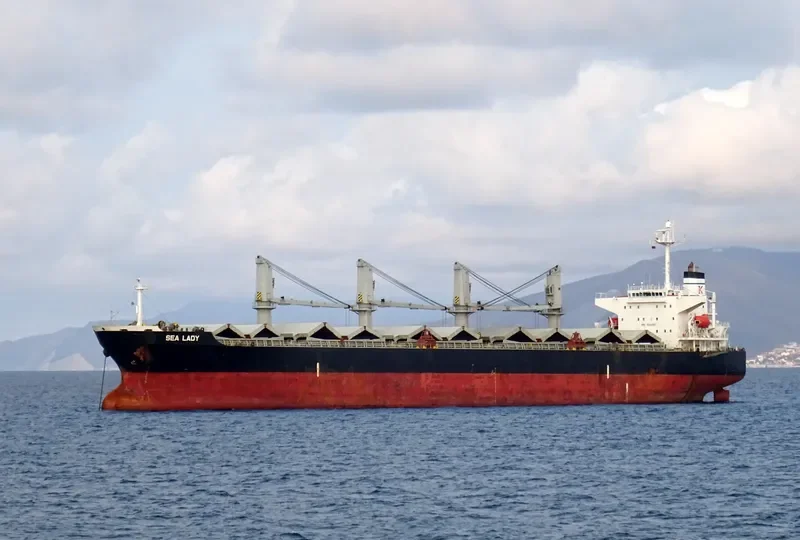 SEA LADY Bulk Carrier IMO 9266188 photo 4