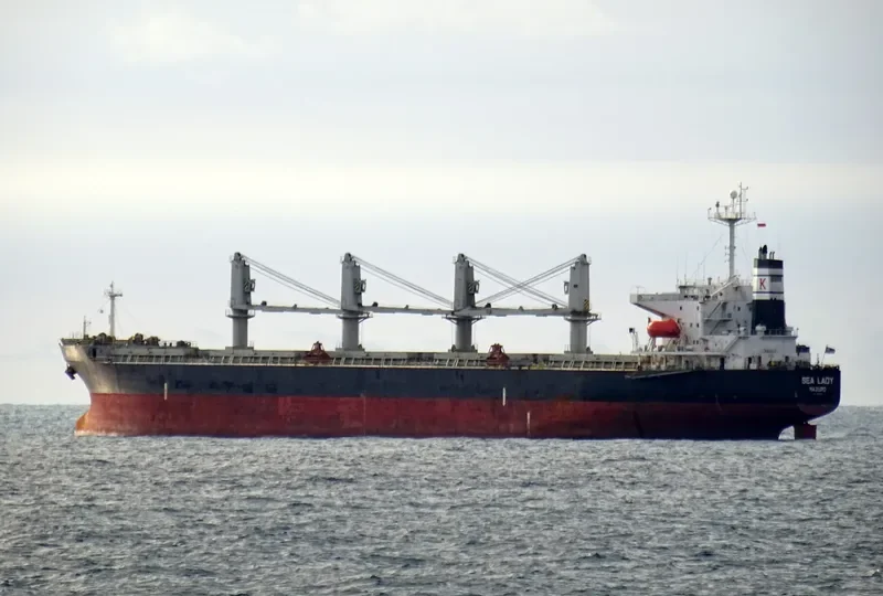 SEA LADY Bulk Carrier IMO 9266188 photo 5