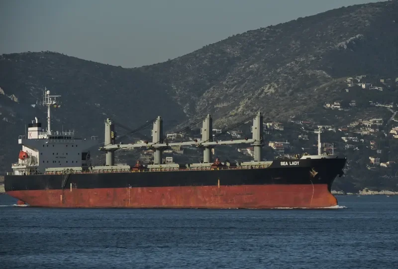 SEA LADY Bulk Carrier IMO 9266188 photo 6