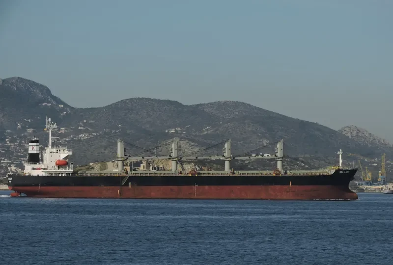 SEA LADY Bulk Carrier IMO 9266188 photo 7