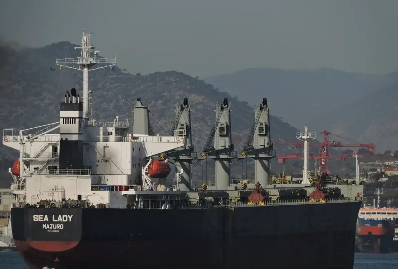 SEA LADY Bulk Carrier IMO 9266188 photo 8