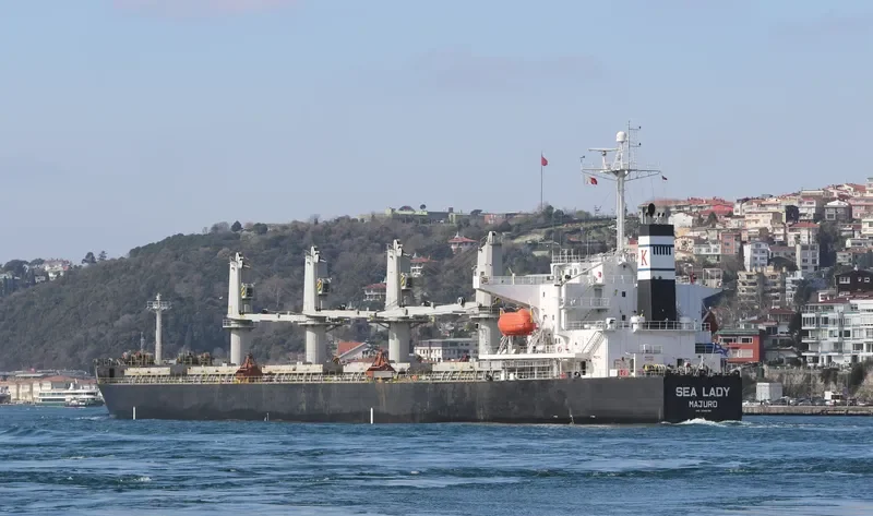 SEA LADY Bulk Carrier IMO 9266188 photo 9