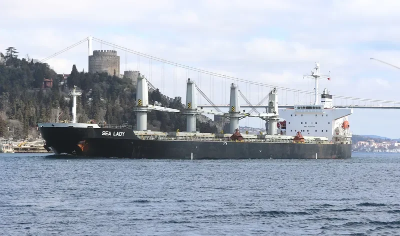 SEA LADY Bulk Carrier IMO 9266188 photo 10