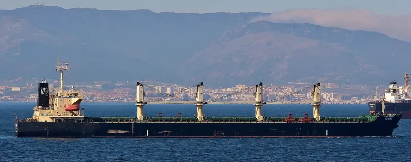 OCEAN SMOOTH Bulk Carrier IMO 9266190 photo 5