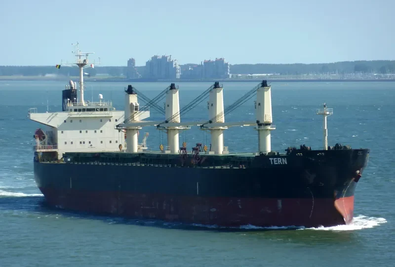 OCEAN SMOOTH Bulk Carrier IMO 9266190 photo 10