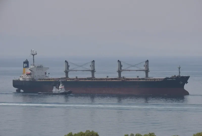 IOANNA POL Bulk Carrier IMO 9266205