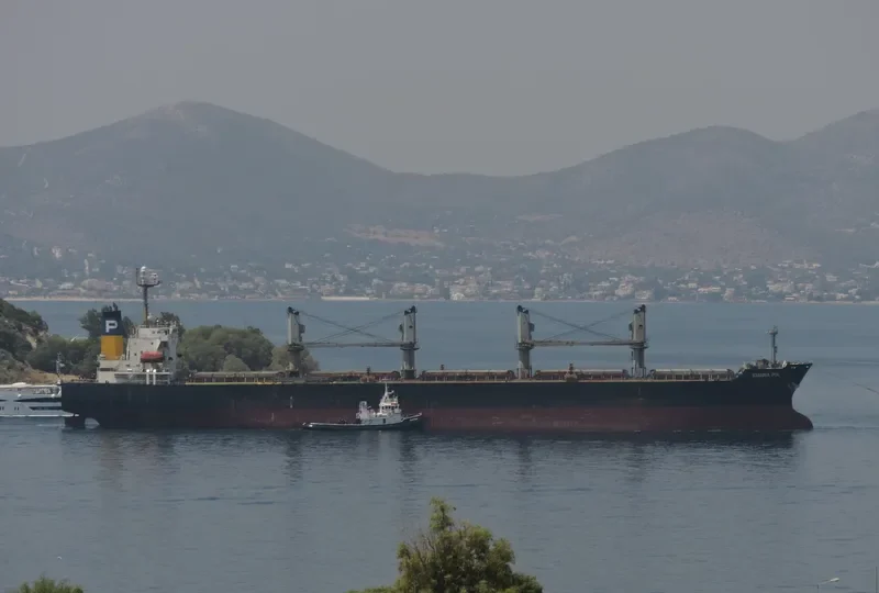 IOANNA POL Bulk Carrier IMO 9266205 photo 2