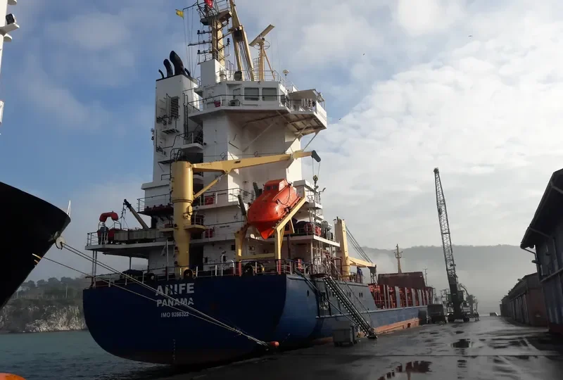 ARIFE General Cargo IMO 9266322 photo 3