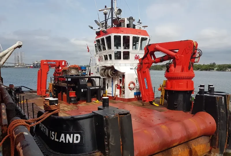 PUFFIN ISLAND General Cargo IMO 9266396 photo 2
