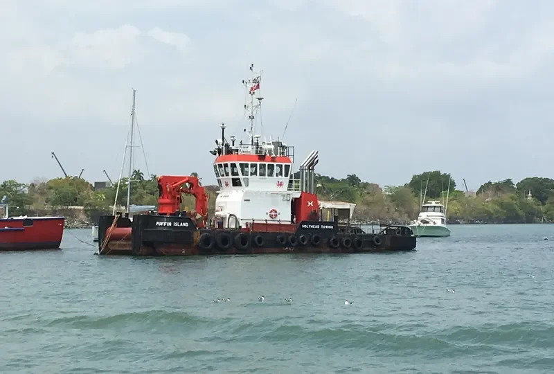 PUFFIN ISLAND General Cargo IMO 9266396 photo 3
