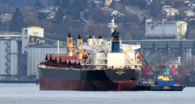 STAR THETA Bulk Carrier IMO 9266449 photo 3