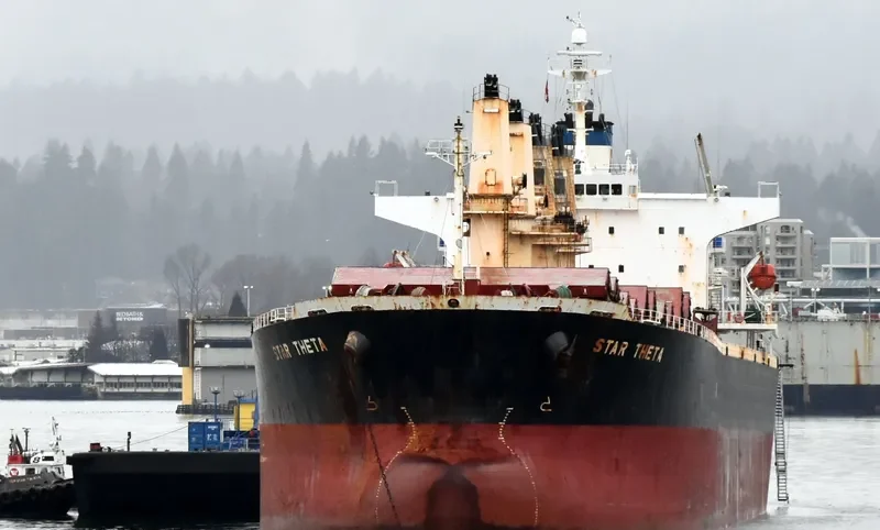 STAR THETA Bulk Carrier IMO 9266449 photo 4