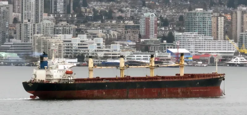 STAR THETA Bulk Carrier IMO 9266449 photo 6