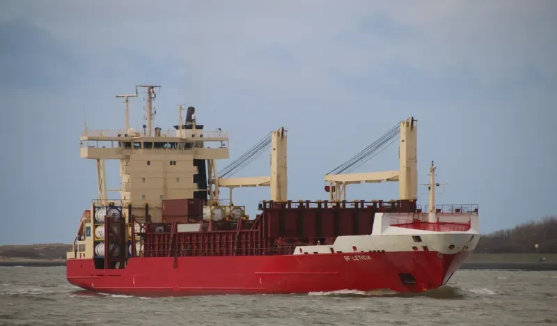 BF LETICIA Container Ship IMO 9266542 photo 3